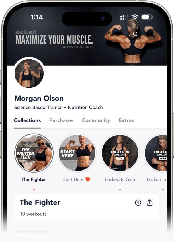 the app home: the fighter feed, start here, locked in gym, locked in home.