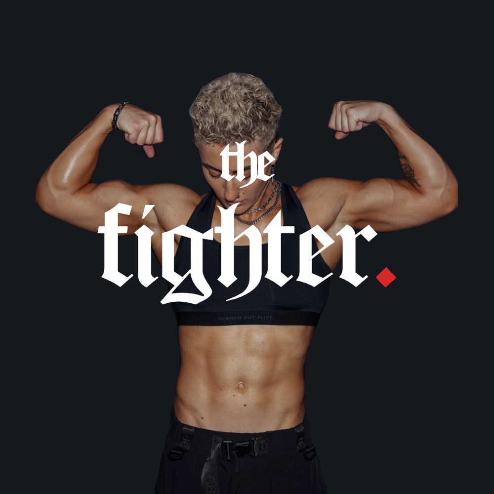 the fighter cover.